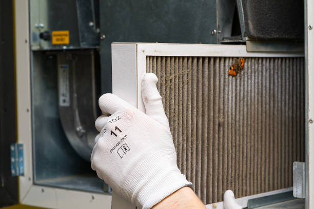 Best Air Duct Sanitizing Services  in St David, AZ