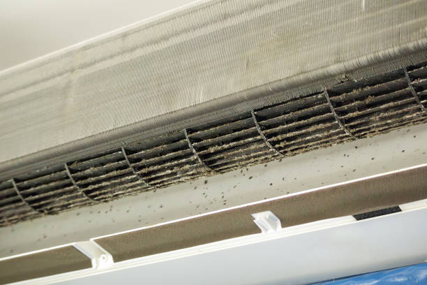 Best Commercial Air Duct Cleaning  in St David, AZ